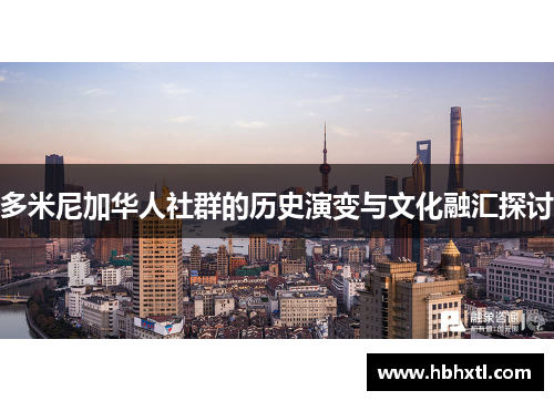 多米尼加华人社群的历史演变与文化融汇探讨