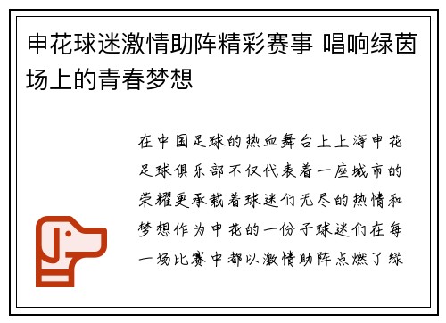 申花球迷激情助阵精彩赛事 唱响绿茵场上的青春梦想