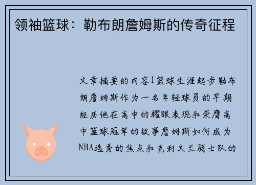 领袖篮球：勒布朗詹姆斯的传奇征程